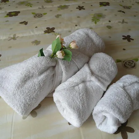 Apartment Elisir